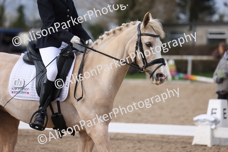 20260301-0633 - Class 4 - Novice 5