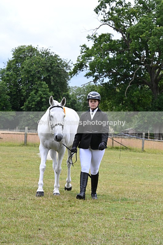 WJ7_7231 - Champs