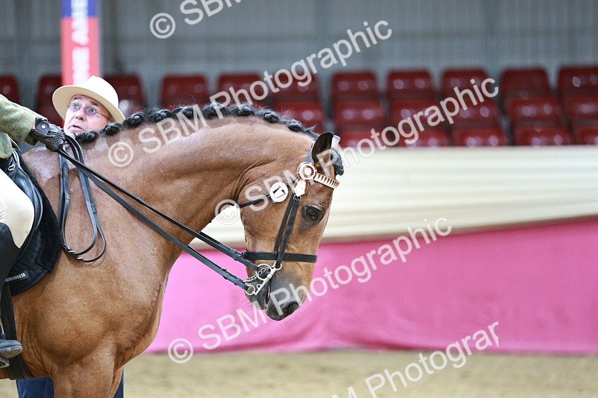 SBM_03545 - Class 6A Area Ridden Pre-Vet