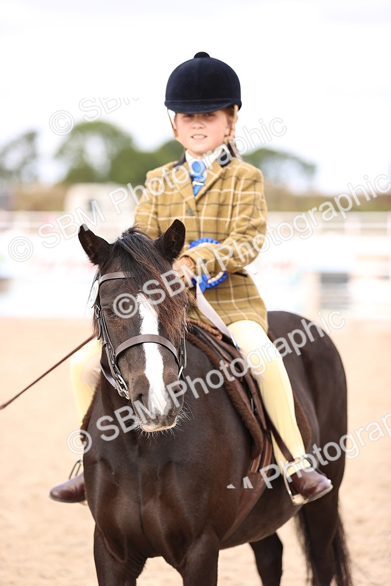 SBM_15973 - Class 416 - Prettiest Mare (IH or Ridden) Jnr