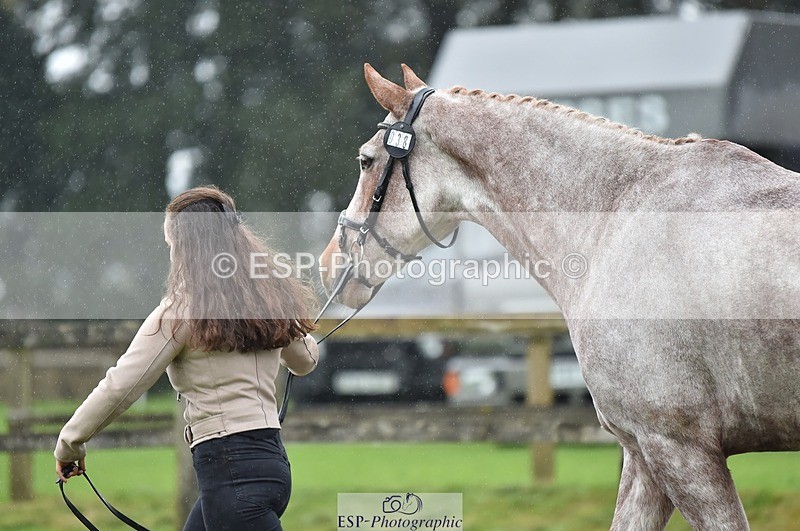 231018-122830-00320 - 038-IRISH.KONNECTION-Natasha.Anson-TrotUp