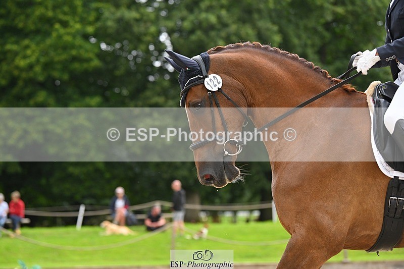 230813-114751-06713 - Cls 12 Elem Silver 10.35 to End