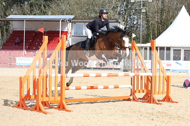 3E7A6549 - Class 4: Senior British Novice/90cm open