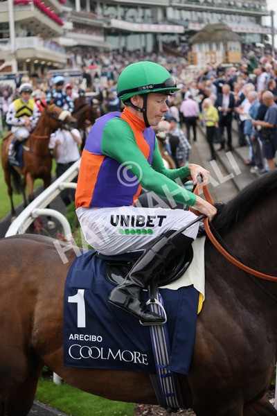 yr20082021r4-80 - Race 4 3.35pm Coolmore Wootton Bassett Nunthorpe Stakes (British Champions Series Race)