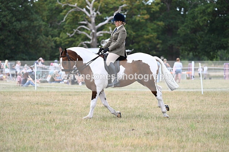 WJ7_5073 - Class 12 Ridden Cob