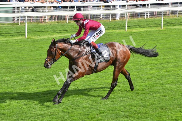 yr18082021r4-91 - Race 4 3.35pm Juddmonte International Stakes (British Champion Series race)