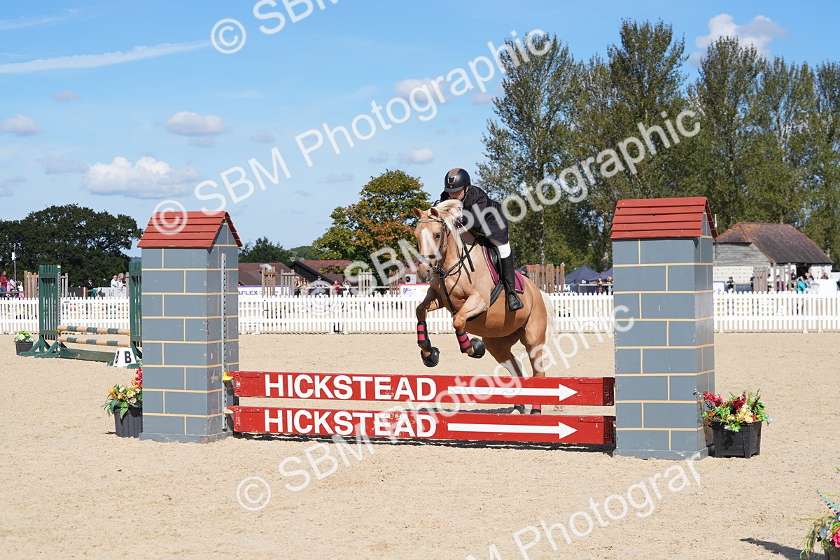 SBM_38800 - J21 - Junior Horse 60cm Championship