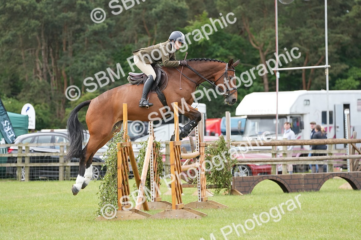 SBM_14954 - Class 100-102 - RIHS Working Hunter