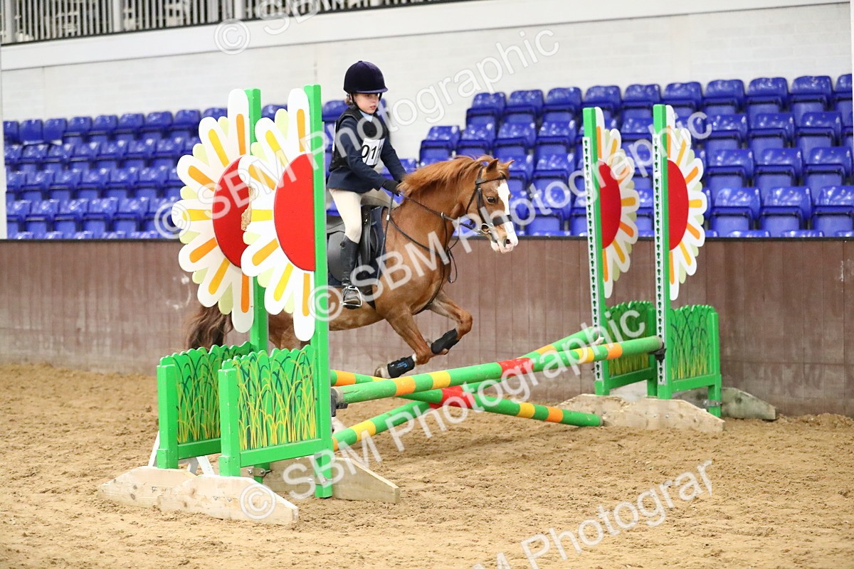 SBM_001861 - Class 4 - 60cm