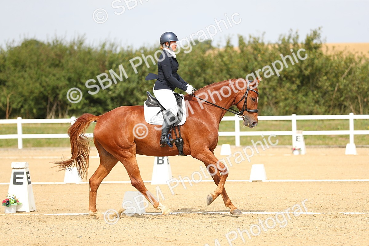 SBM_017294 - Class 13 - Novice 23 - 13.31-14.13