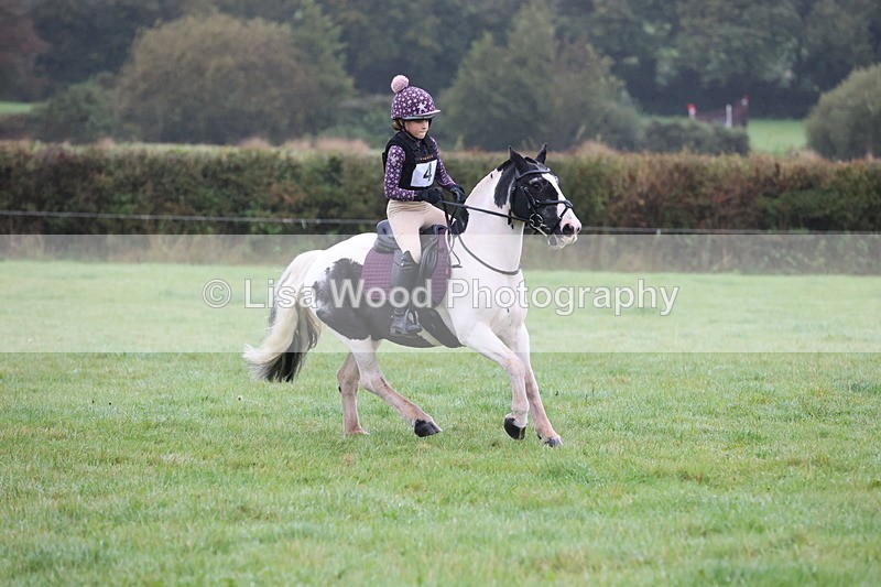 JPP_4980 - Class 1: 65cm : Showjumping