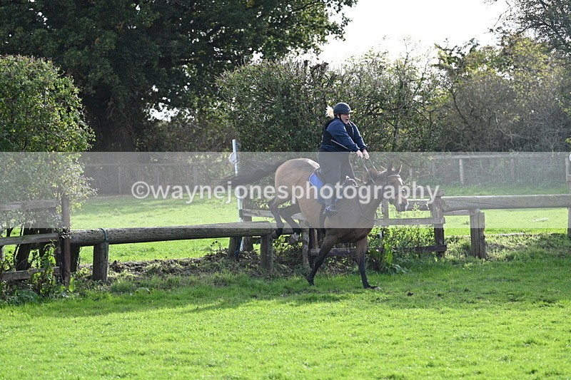 WJ7_0924 - Time 14:27 to 15:11