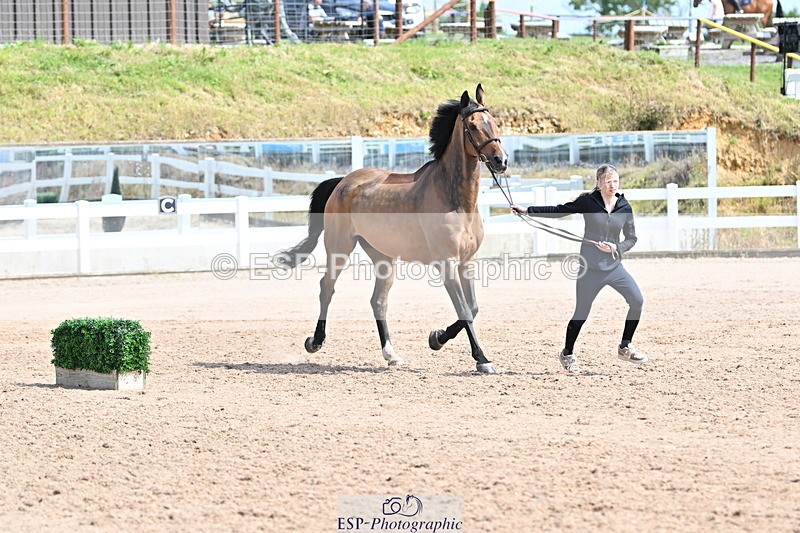 240717A-153303-02869 - Trot Up 3pm to 4pm