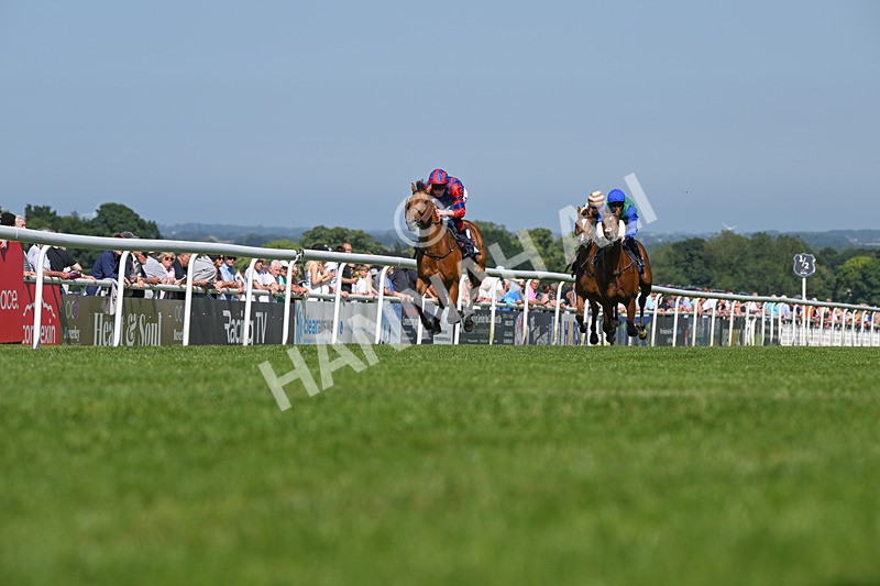 250624-Race 5-Drink Dry-9209 - Race 5