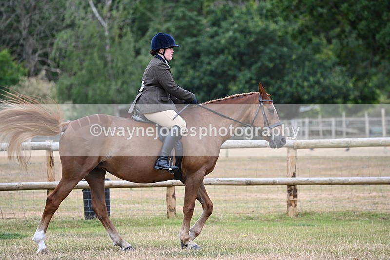 WJ6_3711 - Class 9 Tack & Turnout