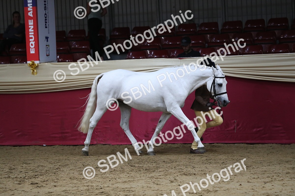 SBM_05020 - Class 8R- Regional -IH Veteran