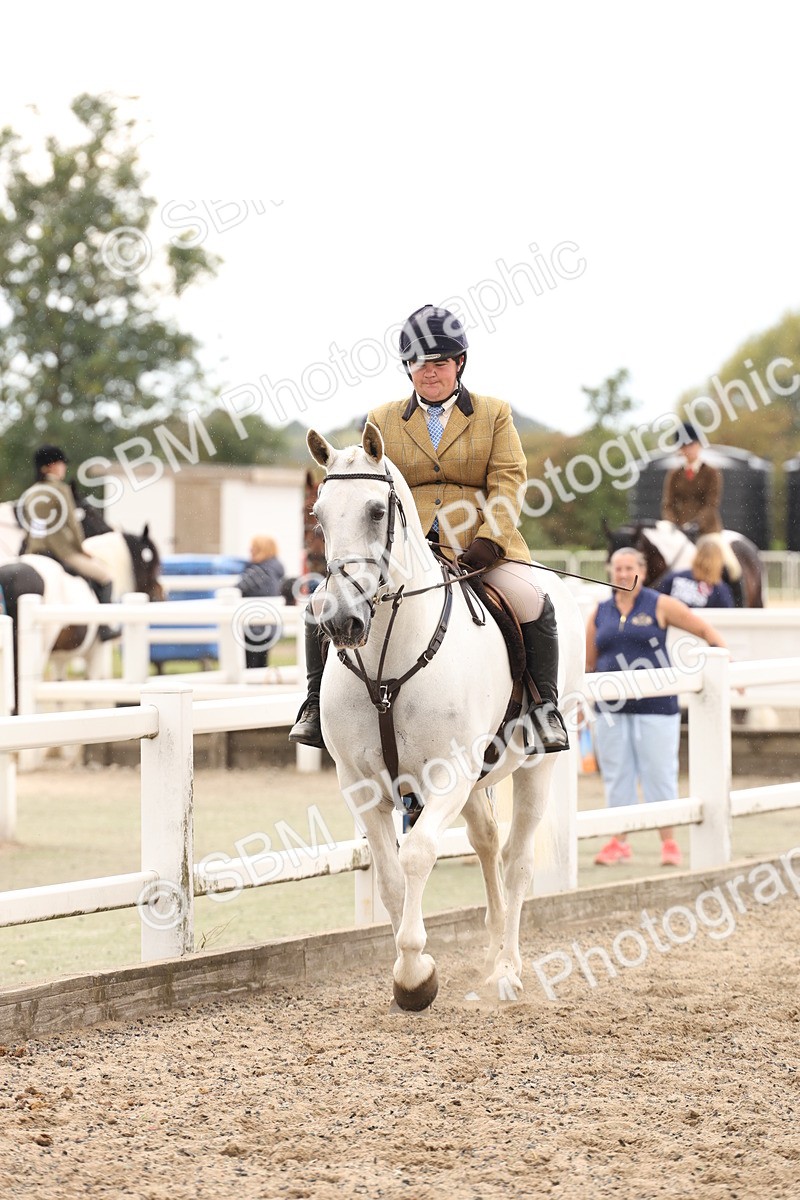 SBM_06780 - Class 58a -  Style & Performance - 70cm (15-19)