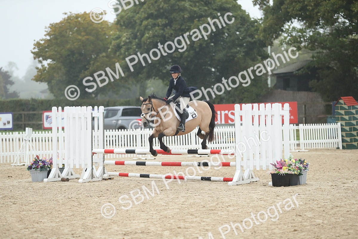 SBM_74192 - Supreme championship Junior Pony 70cm 75cm