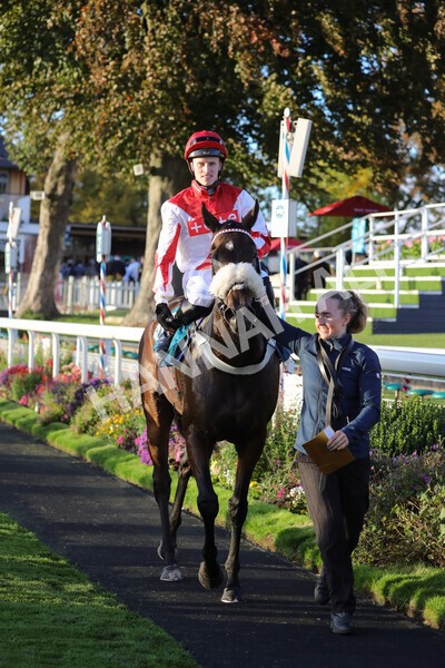 yr07102022r7-44 - Race 7 5.35pm IRE Incentive, It Pays To Buy Irish Stakes