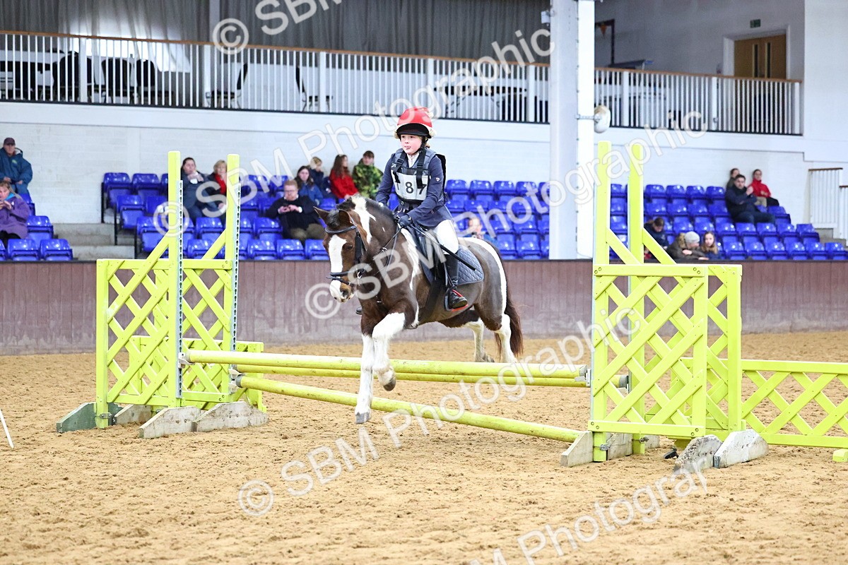 SBM_001226 - Class 3 - Christmas Tree Stakes - 60cm