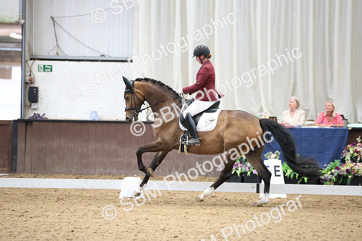 SBM_002173 - Class 5 - Novice 6 Gold - 9.00-10.10