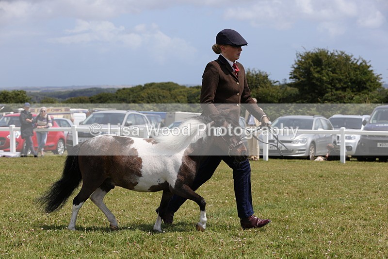 1X9A4832 - Class 35: Veteran In Hand