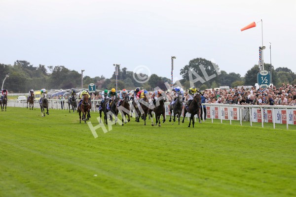 240824-Race 2-Tabletalk-8919 - Race 2 2.25pm Sky Bet Melrose Handicap