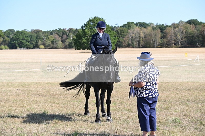 WJ6_7554 - Class 34 Judges Choice