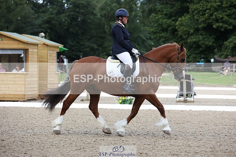 230813-094933-06147 - Cls 11 Elem Bronze Start to 10.50 break