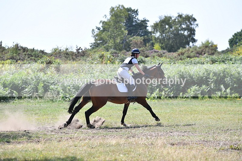 WJ5_3477 - XC Time 13:30 to 14:00