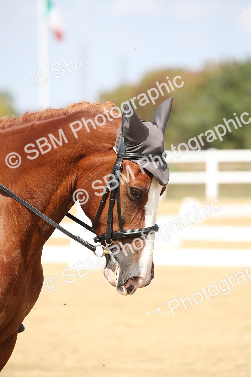 SBM_001451 - Class 2 - Pelim 5 - 11.36.12.32