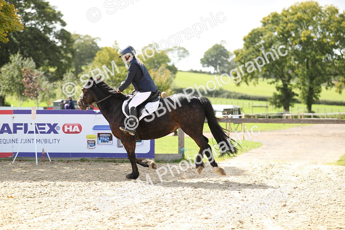 SBM_05856 - J35 - Veteran Rider 60cm