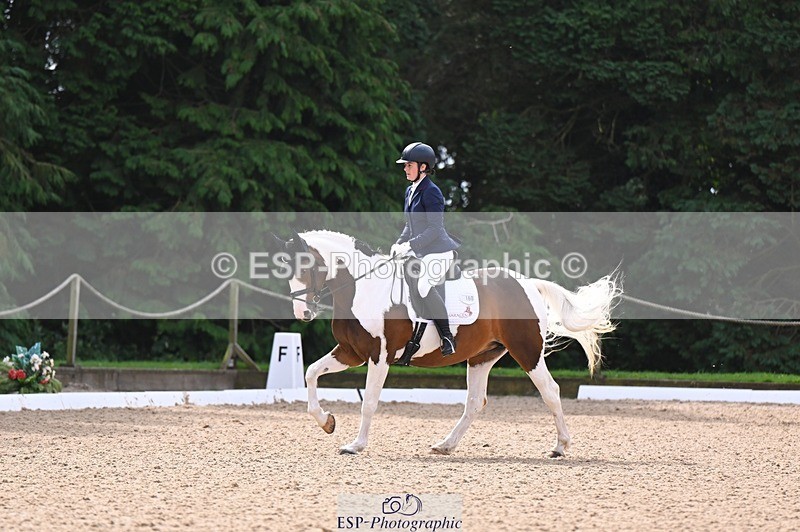 240809-103956-00360 - 160-Sian.Lowe-Pinecroft.Indigo