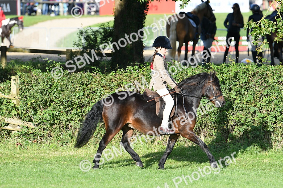 SBM_54036 - S23 - 1st Ridden Mountain & Moorland Pony