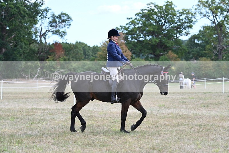 WJ7_5958 - Class 13 Ridden Veterans