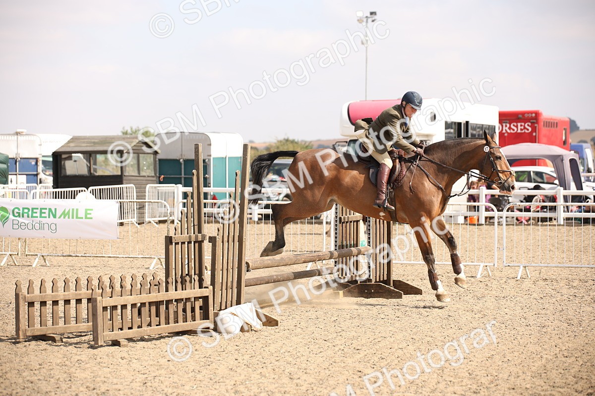 SBM_15030 - Class 408a - Working Veteran 70cm (15-19