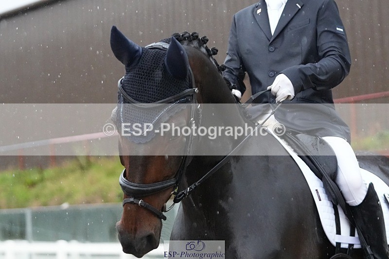 250907-082434-05440 - 038-Greg.DickensBrutus.G