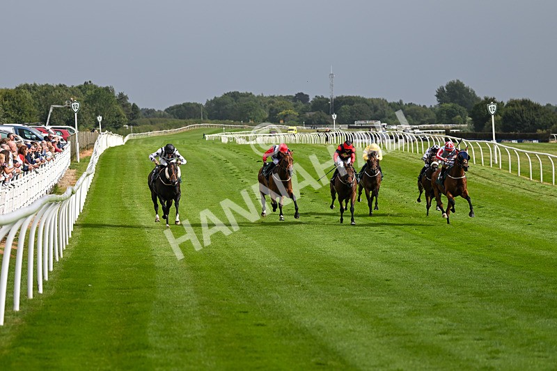 190824-Race 5-Birkenhead-3816 - Race 5