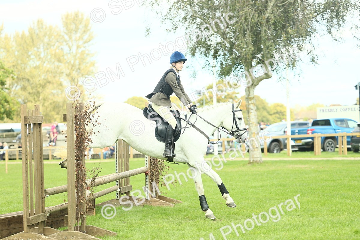 SBM_44720 - S31 - Working Hunter Pony