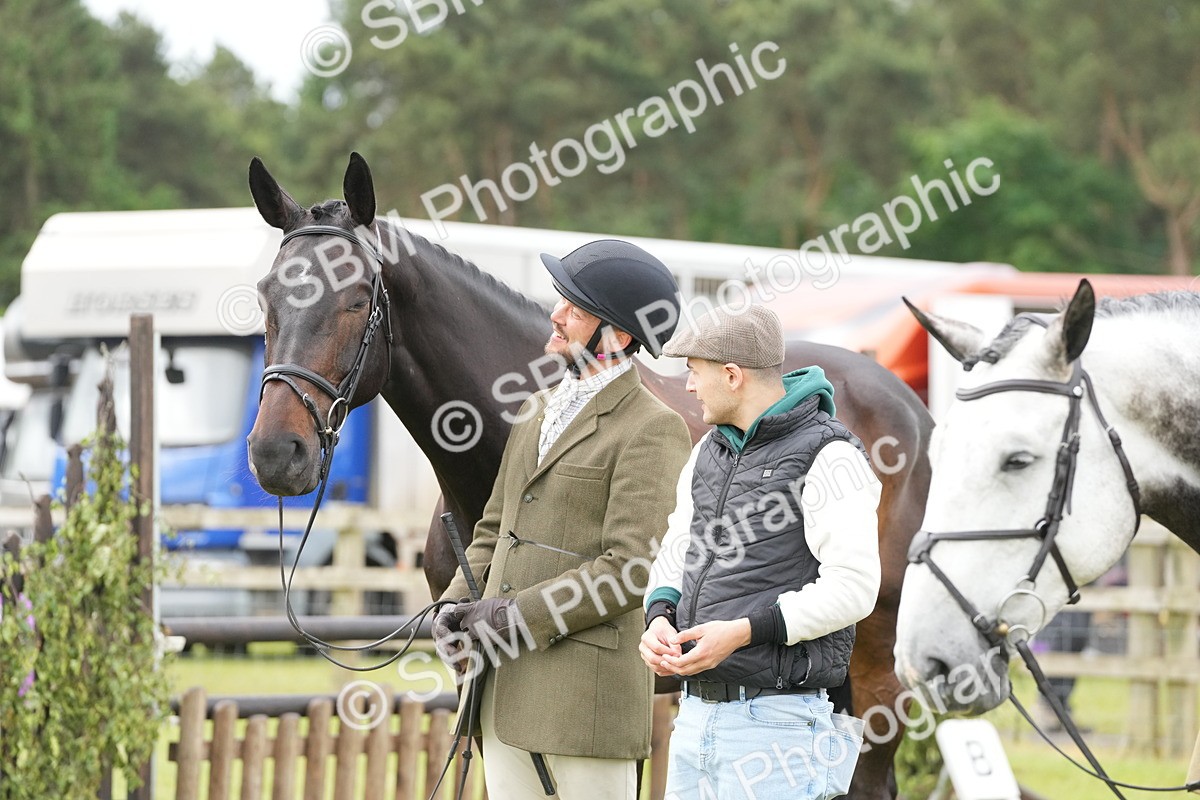SBM_12735 - Class 97-98 - LIHS BSHA Rising Star Working Show Horse Hunter