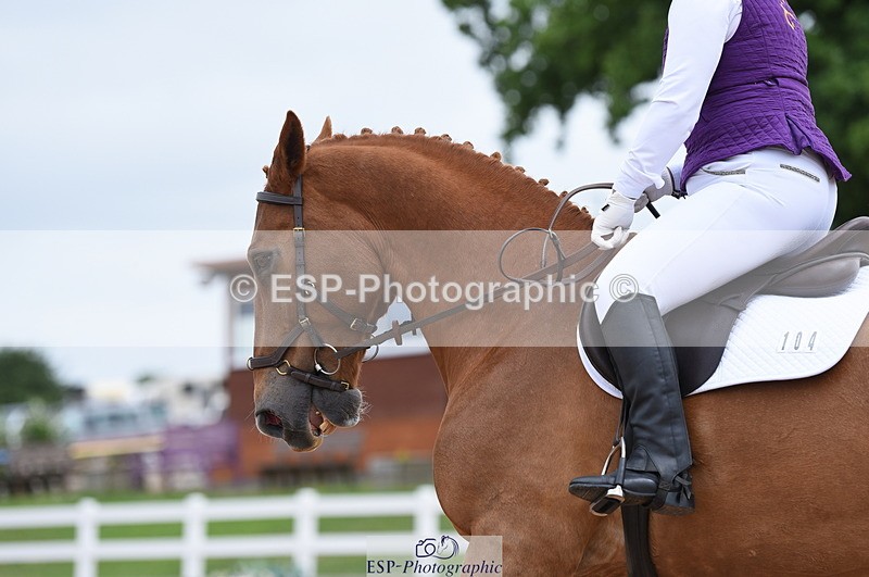 230702A-113348-08911 - Cls 19 Prelim 14