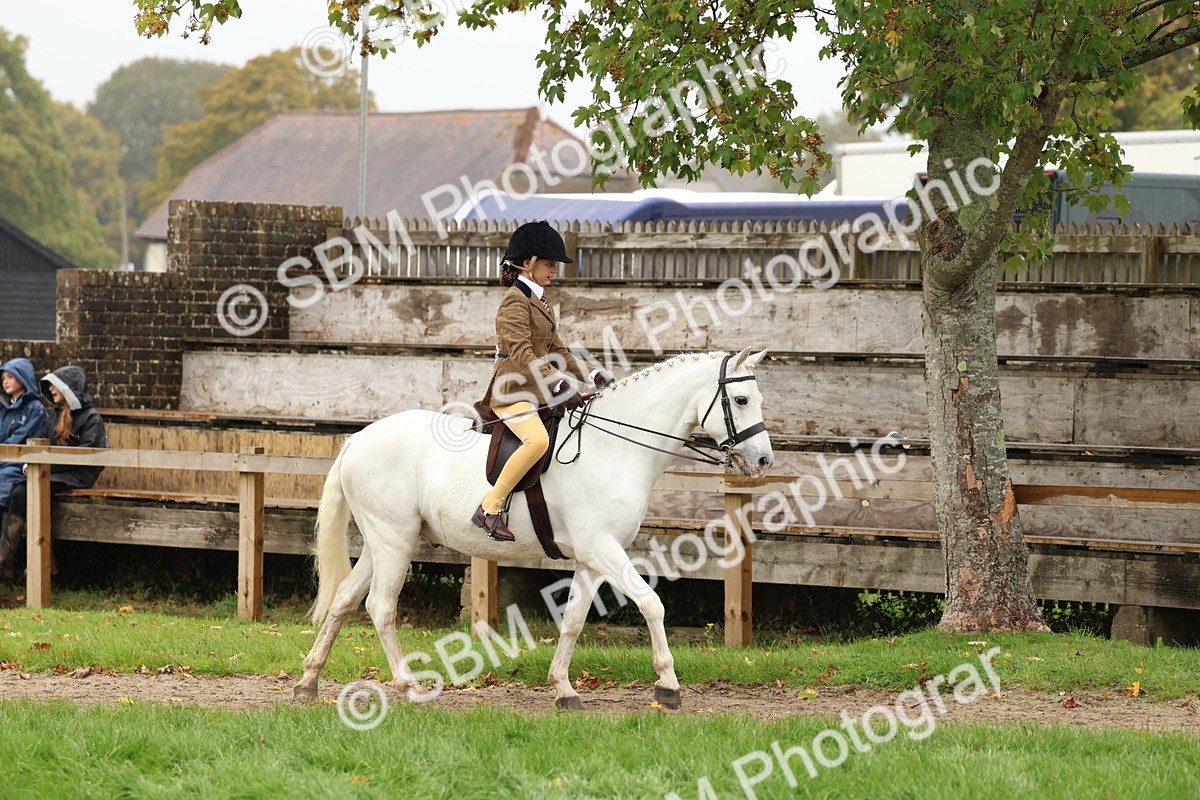 SBM_72973 - S63 Show Pony & Show Hunter Pony Ridden