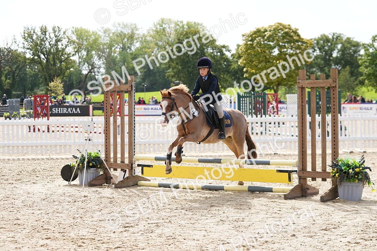 SBM_40752 - Supreme Championship Pony 50-55cm