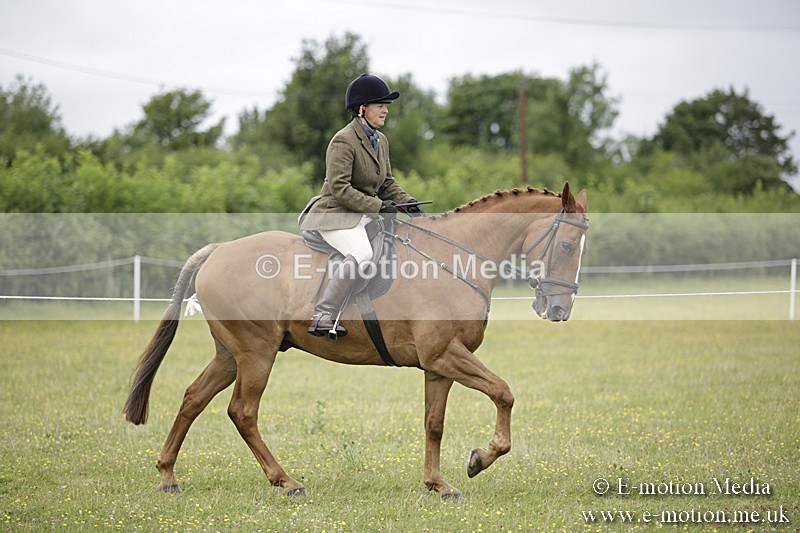 BVR160717-771 - Ring 1 BVRC Show 16/07/17