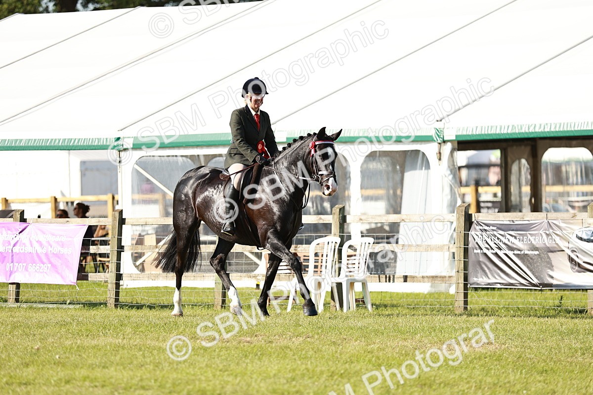 SBM_19340 - Class 115-116 - LIHS BSHA Rising Star Working Hunter & Show Horse