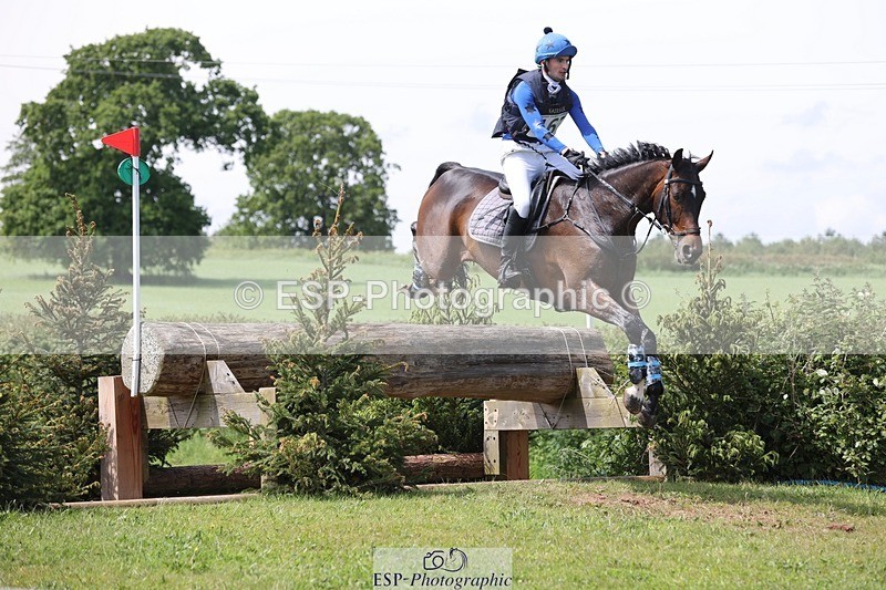 240525-141140-14538 - 162-HAZZLE_DAZZLE-Henry_Hobby