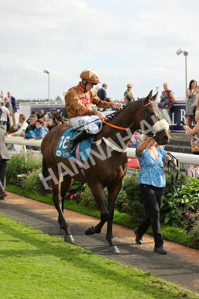 yr04092022r6-9 - Race 6 4.40pm Hanson Springs Stakes