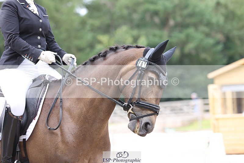 230813-102844-06296 - Cls 11 Elem Bronze Start to 10.50 break