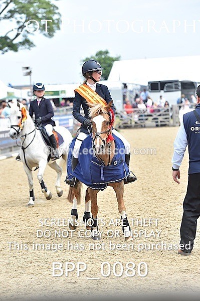BPP_0080 - RHS 2019 Selection - *Just some random spectator shots so Lucky Dip if you are there!