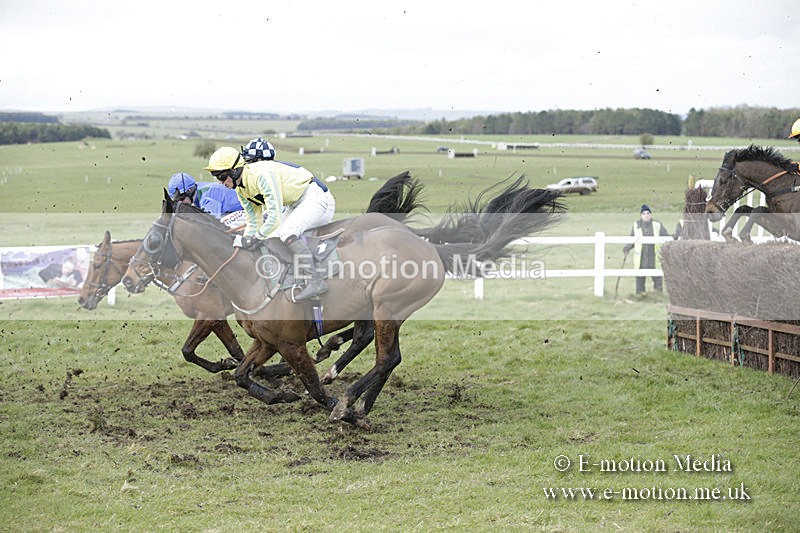 PtP 150320 0683 - New Forest Point-to-Point Larkhill 15/03/20